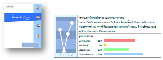 DISC profile result.png